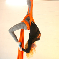 Aerial Adult Hammock 