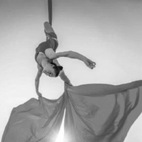 Aerial Silks / Lyra 